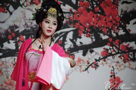 河南坠子《起个名字叫郭婵