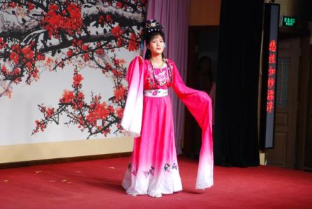 河南坠子《偏向闺女》大全