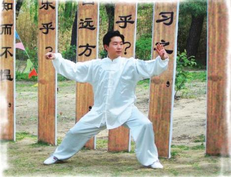 24式太极拳分解教学13