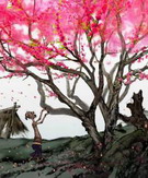 桃花源记全集 桃花源记动漫全集