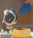 美味盛宴全集高清在线观看